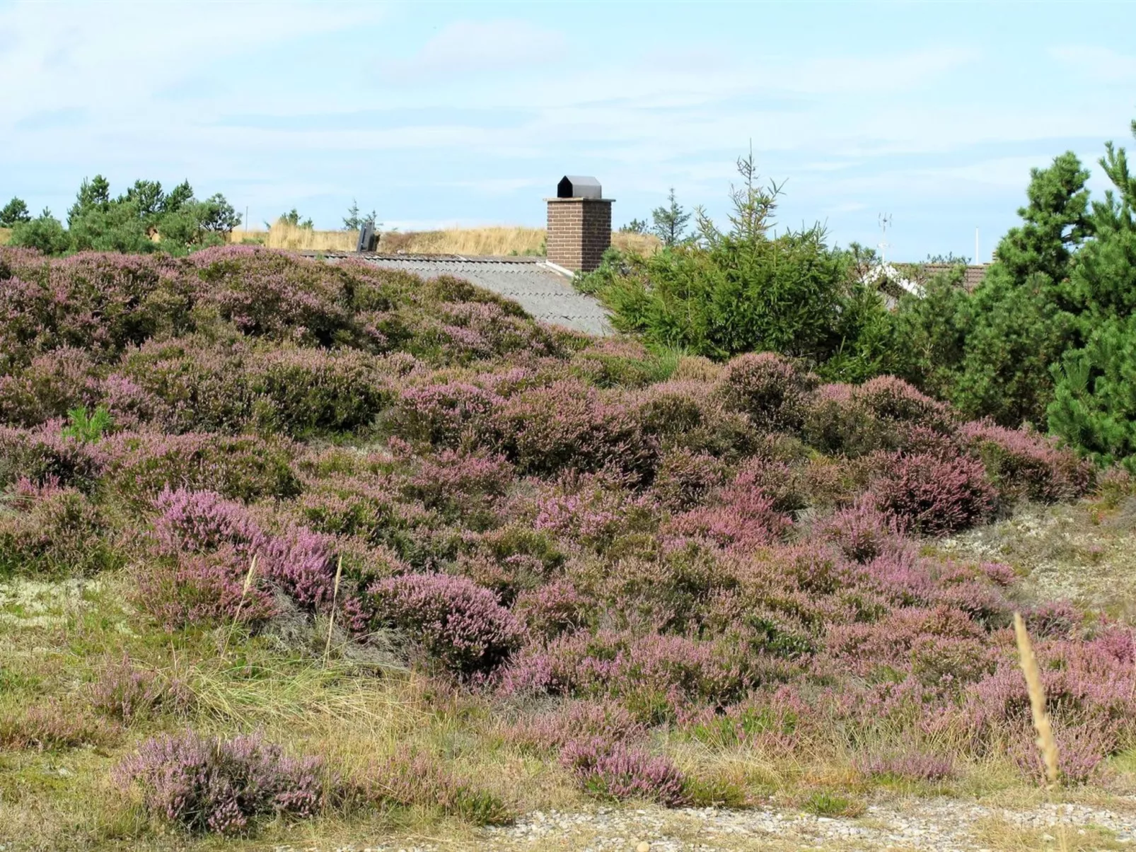 "Elsa" - 700m from the sea-Buiten