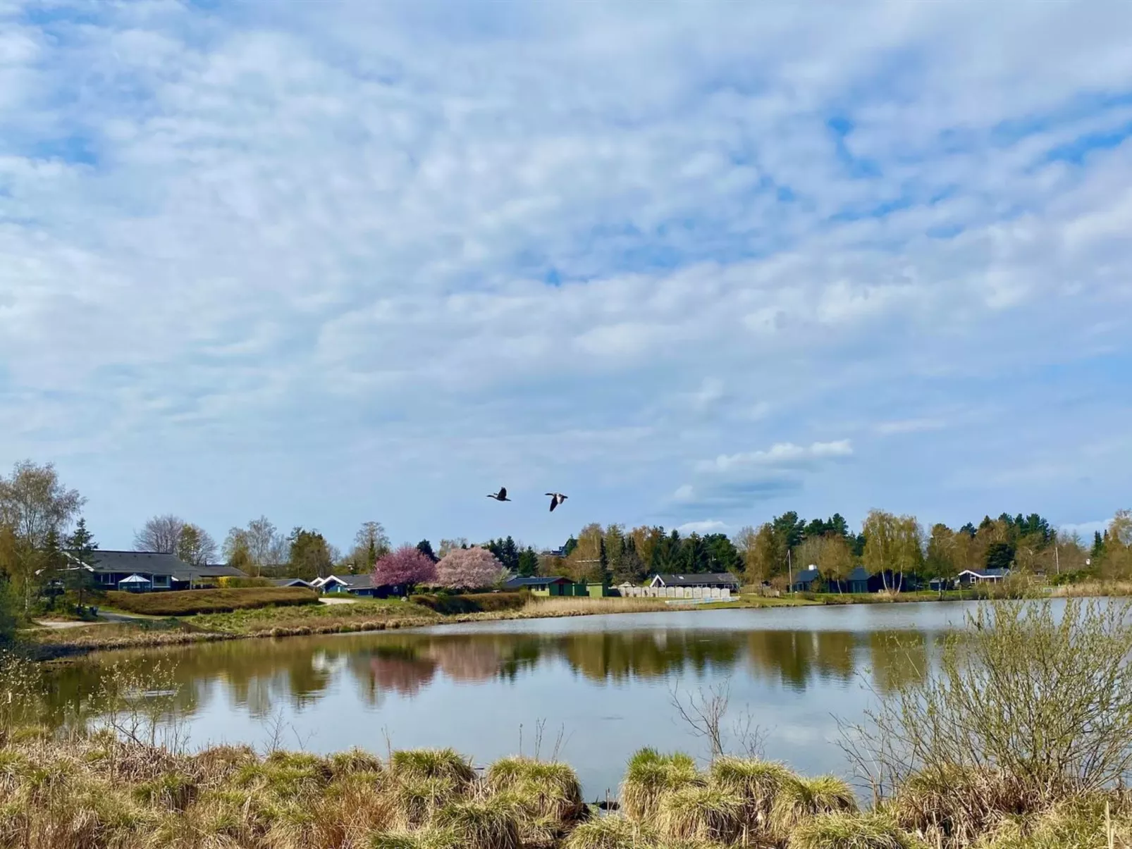 "Athisl" - 800m from the sea-Buiten