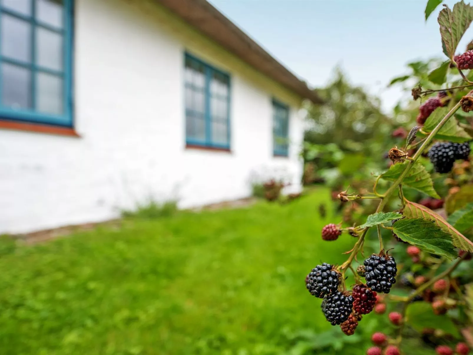 "Clausina" - 600m from the sea-Buiten