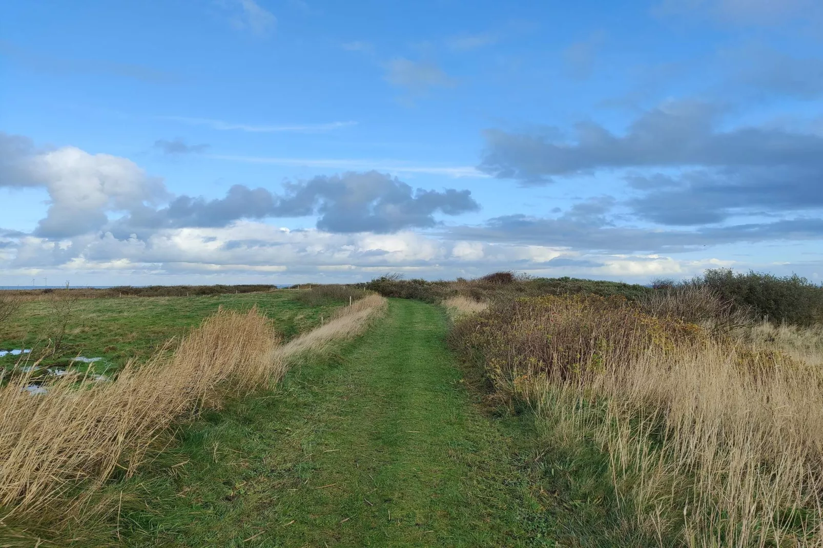 8 persoons vakantie huis in Lemvig-By Traum-Niet-getagd