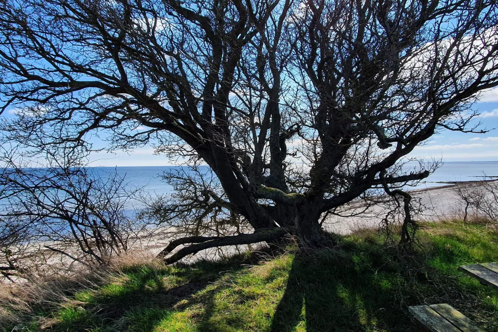 4 sterren vakantie huis in Idestrup-By Traum-Waterzicht