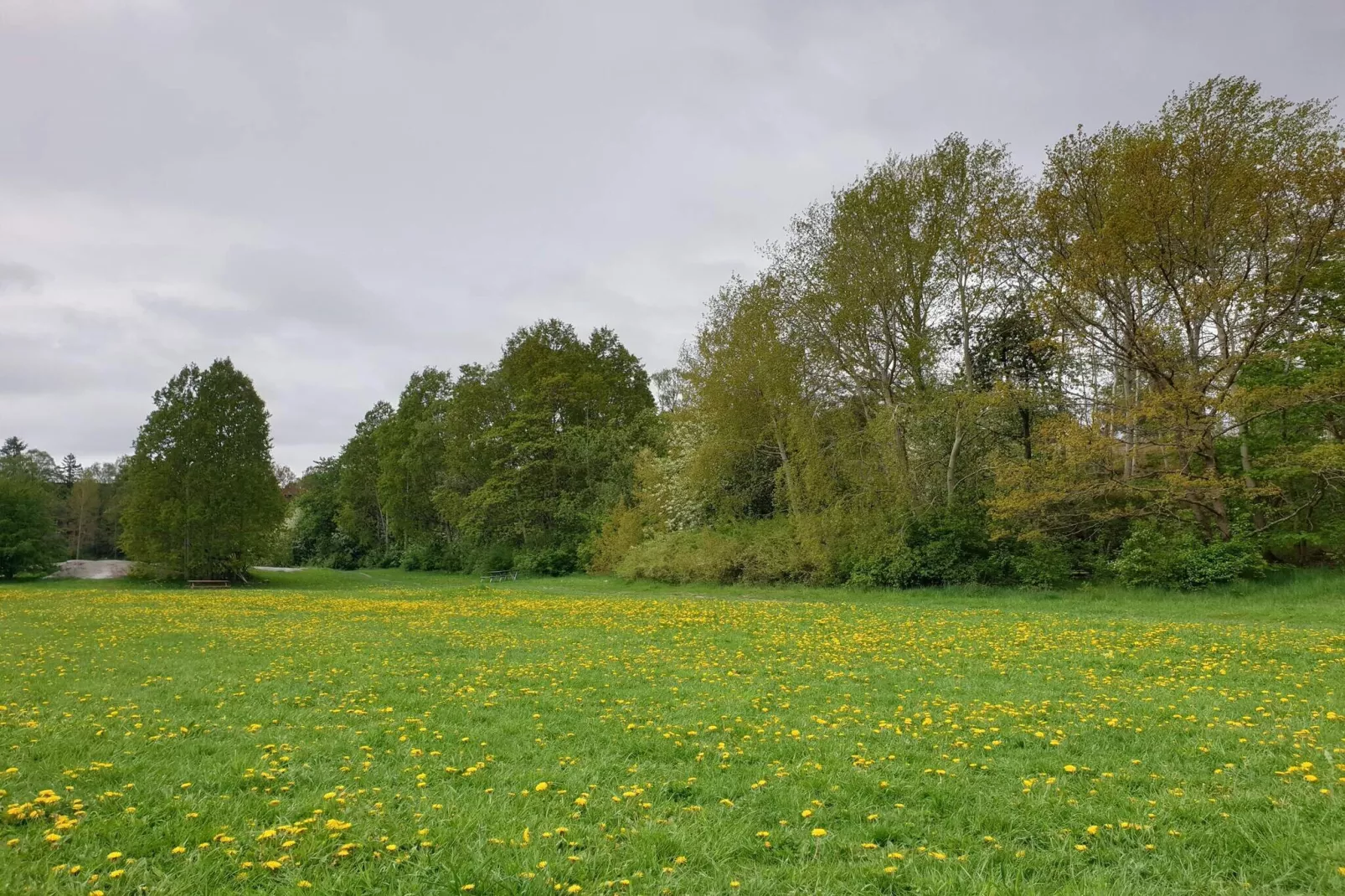 4 sterren vakantie huis in ENSKEDE-By Traum-Niet-getagd