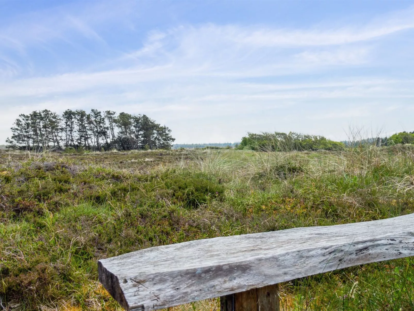 "Myrte" - 900m from the sea-Buiten