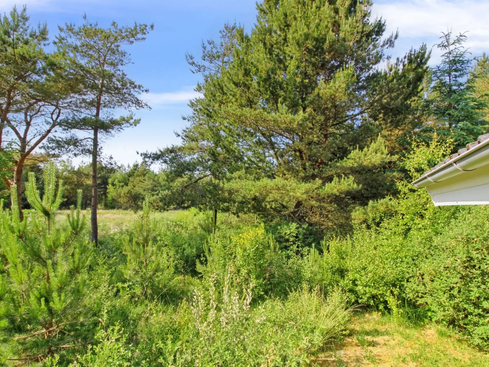 "Arlett" - 950m from the sea-Buiten