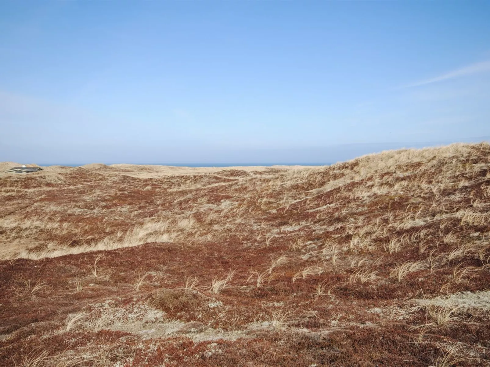 "Hilmer" - 250m from the sea-Buiten