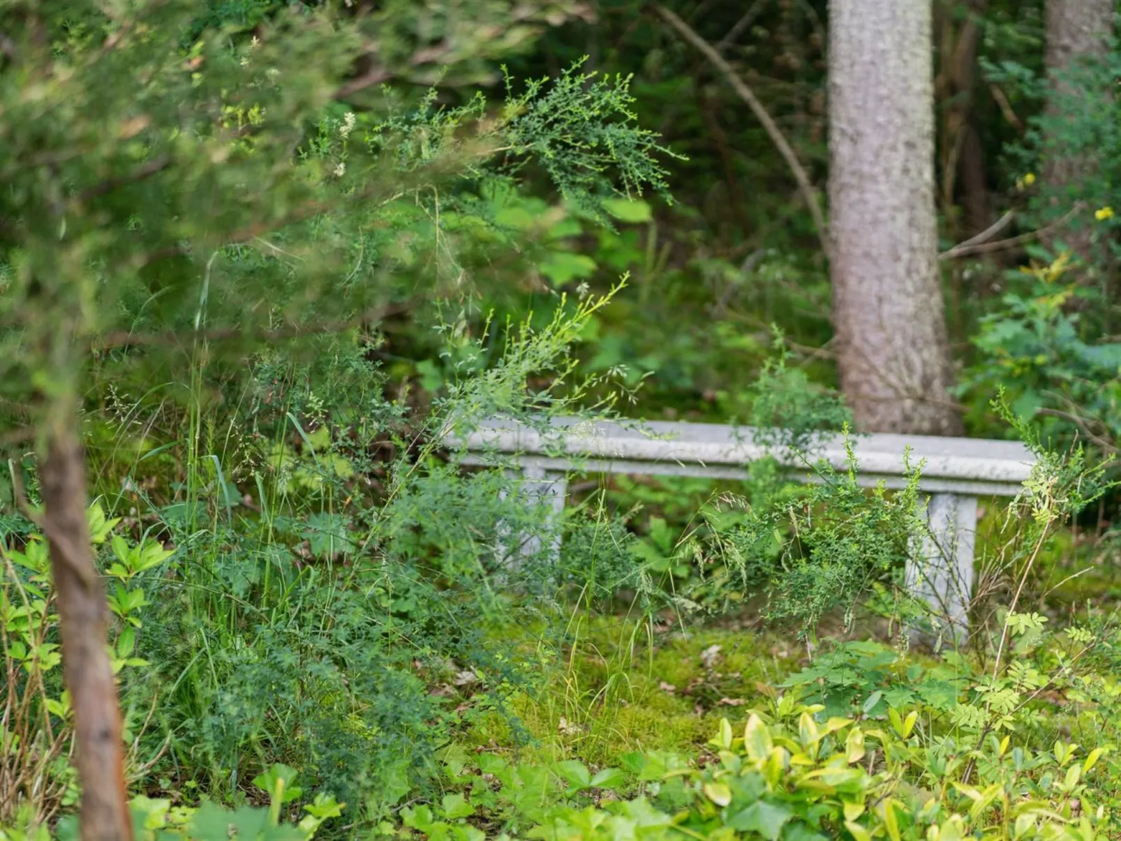 "Anthonette" - 900m from the sea-Buiten