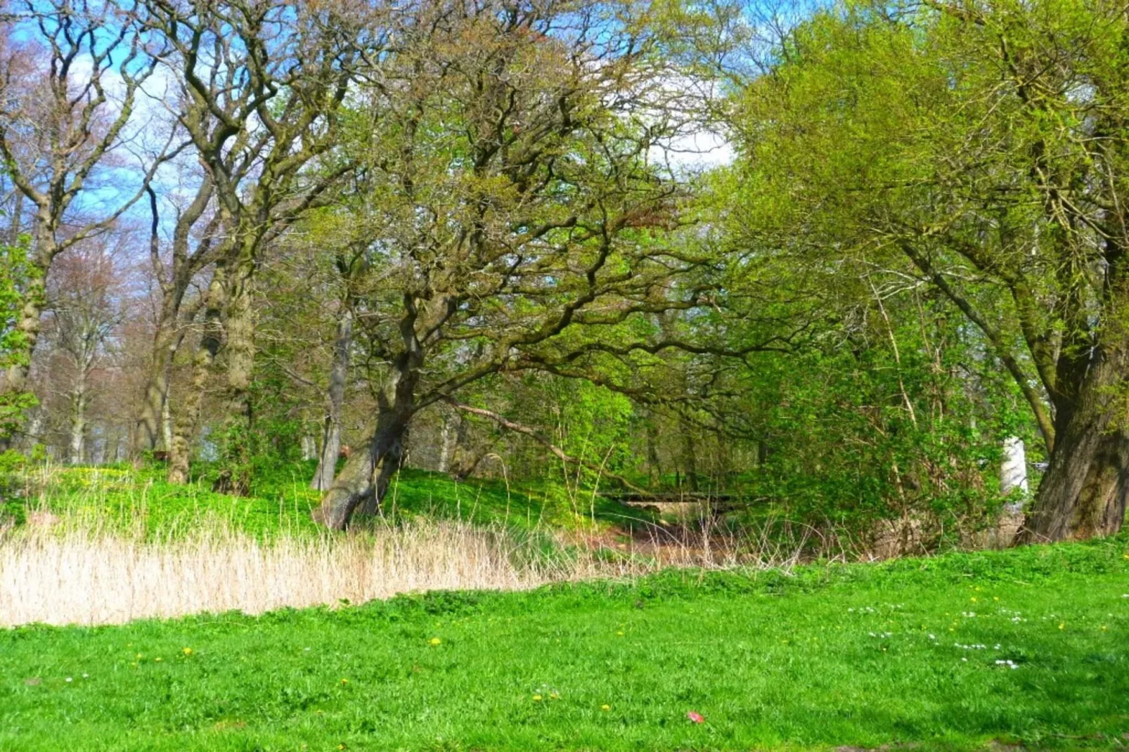 4 persoons vakantie huis in Bredebro-By Traum-Niet-getagd