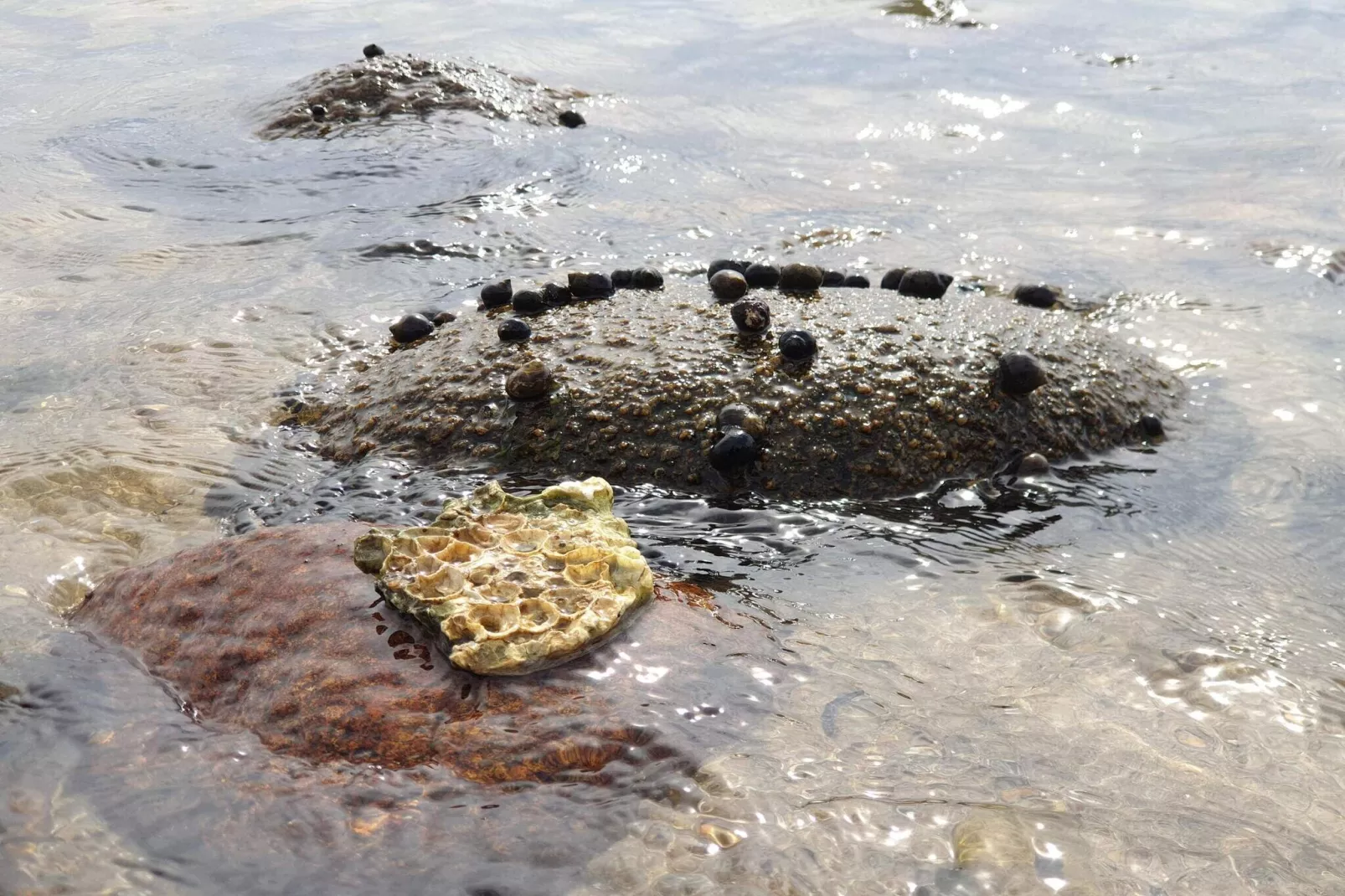 4 sterren vakantie huis in Øster Assels-By Traum-Waterzicht