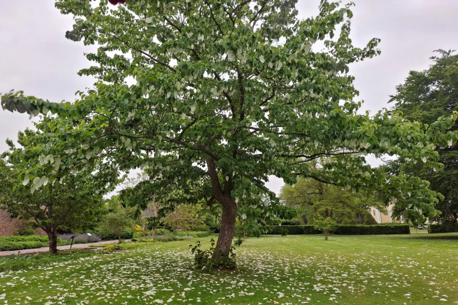 Sfeervolle retraite op Eno -- By Traum Ferienwohnungen-Niet-getagd