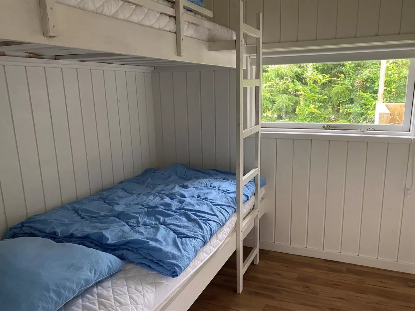 "Elnur" -  from the sea-Binnen