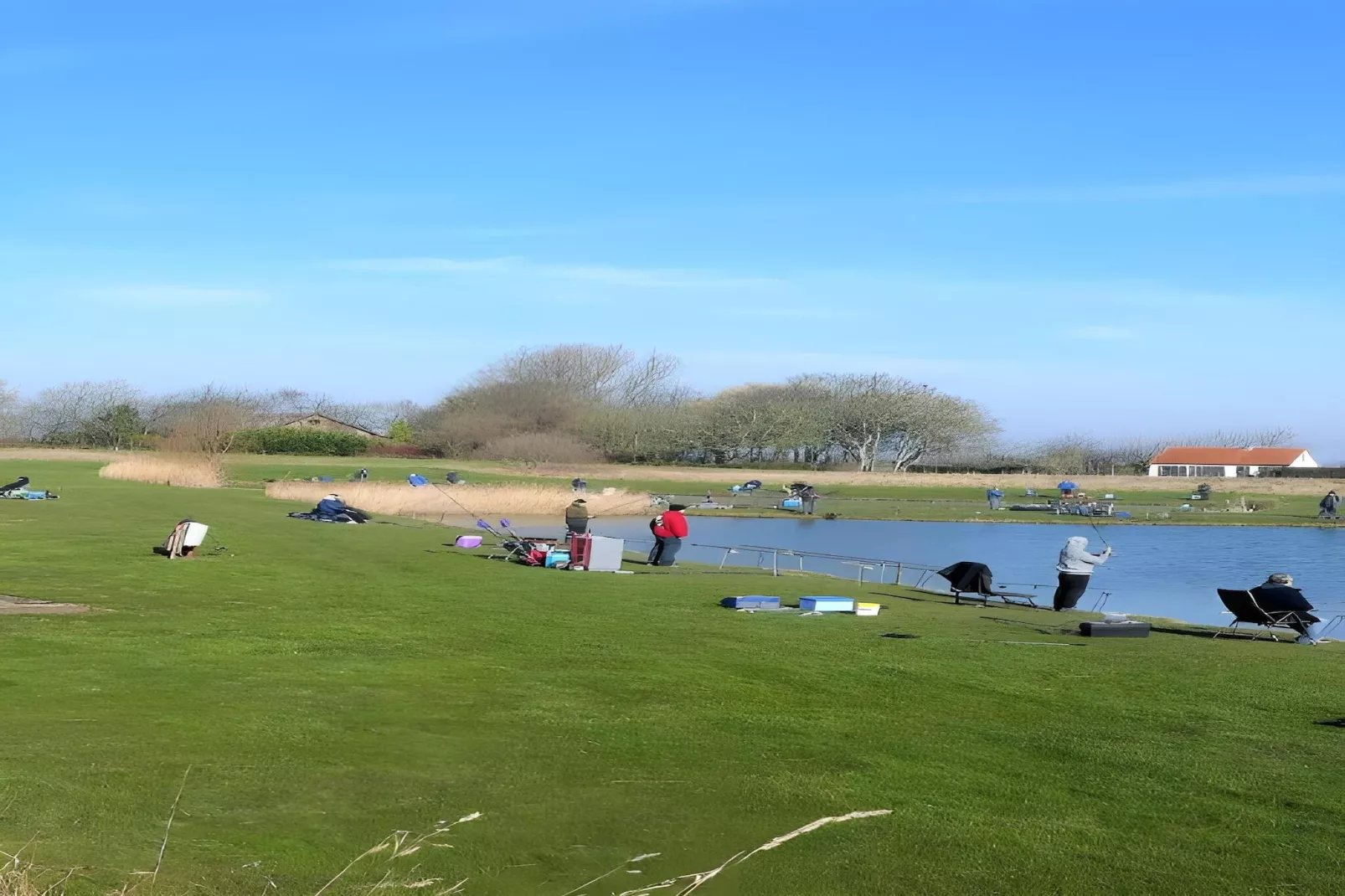 Landgoed de Lente 36 Krokus Breskens-Gebieden zomer 20km