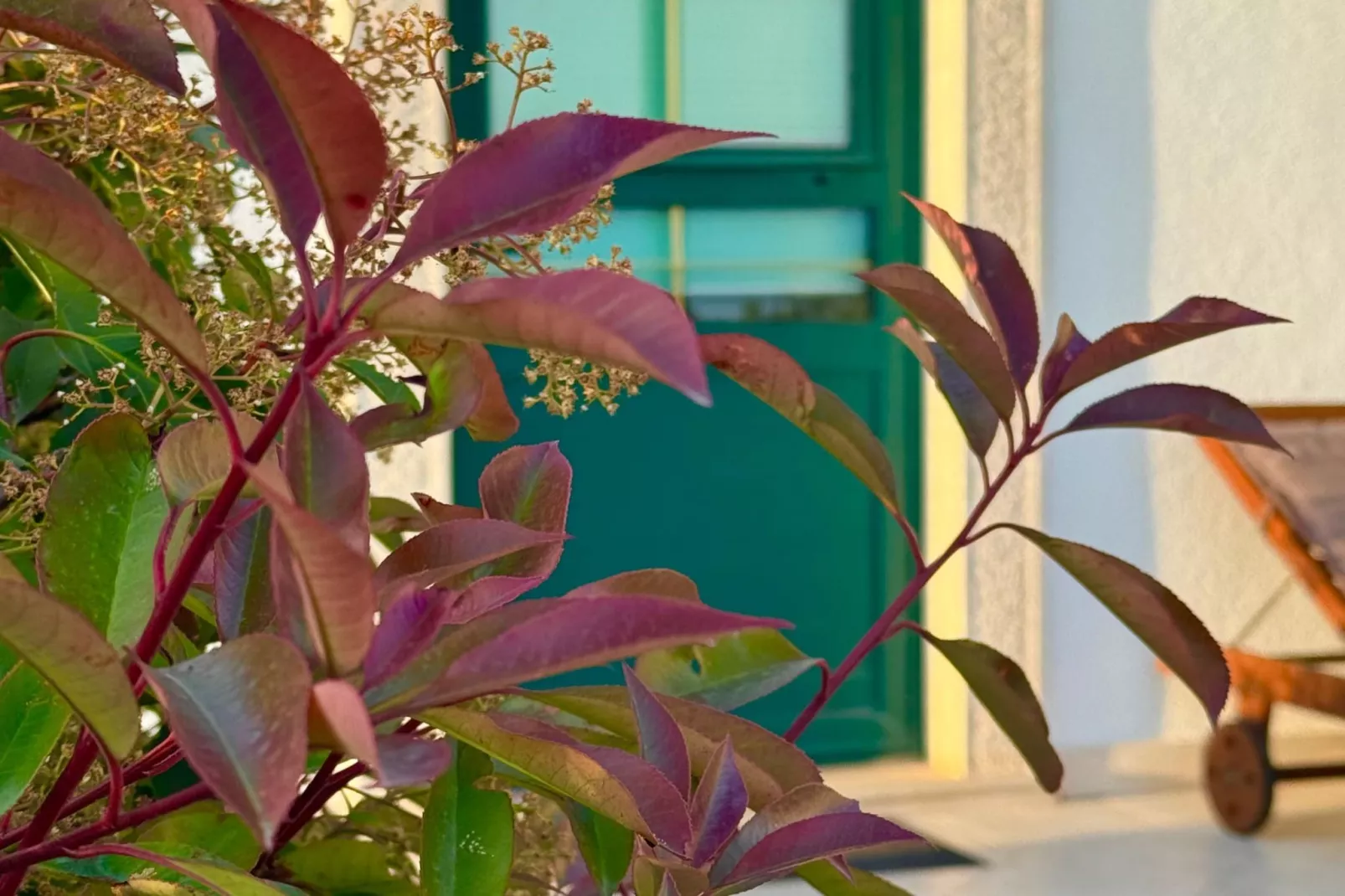 Holiday Home Oliva - Holiday House with Terrace and Sea View-Uitzicht