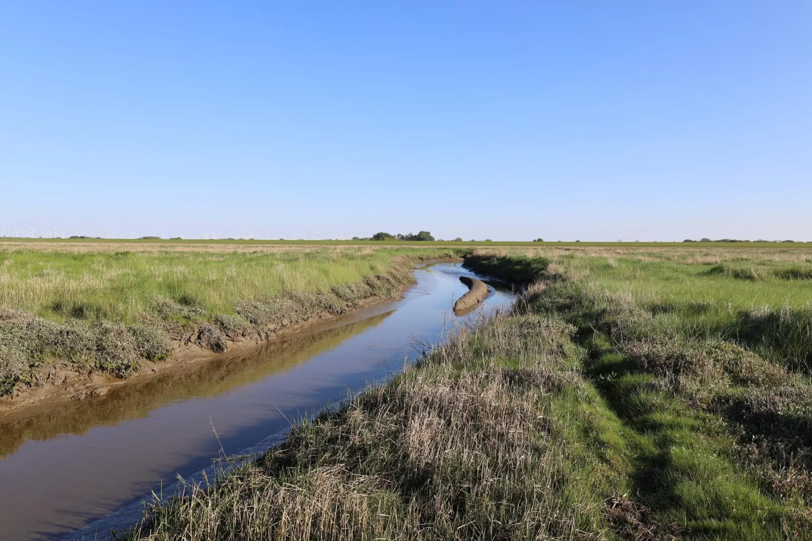 Ferienhaus 06 Marintje-Gebieden zomer 5km