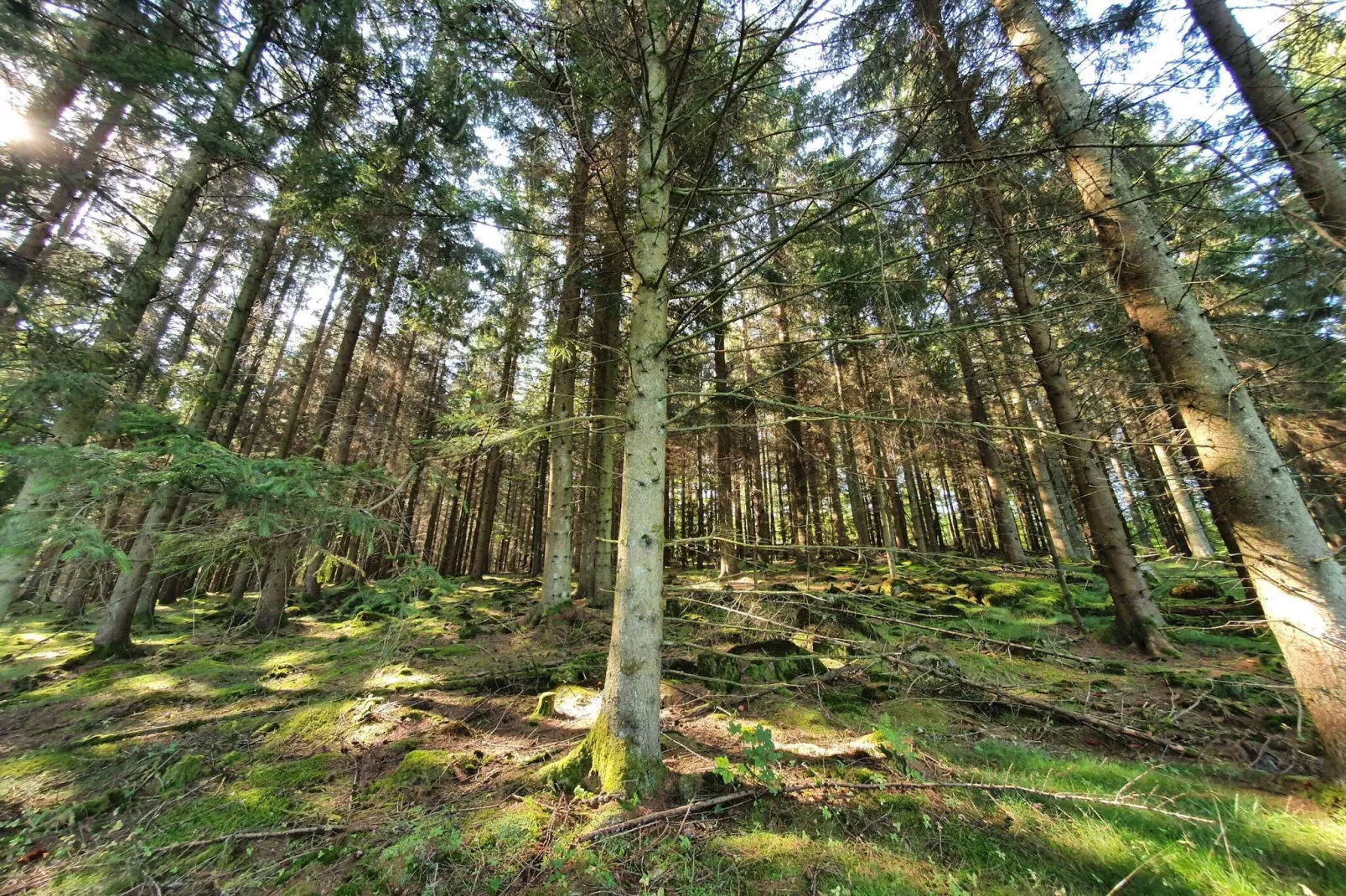 4 persoons vakantiehuis in Hoor-Niet-getagd