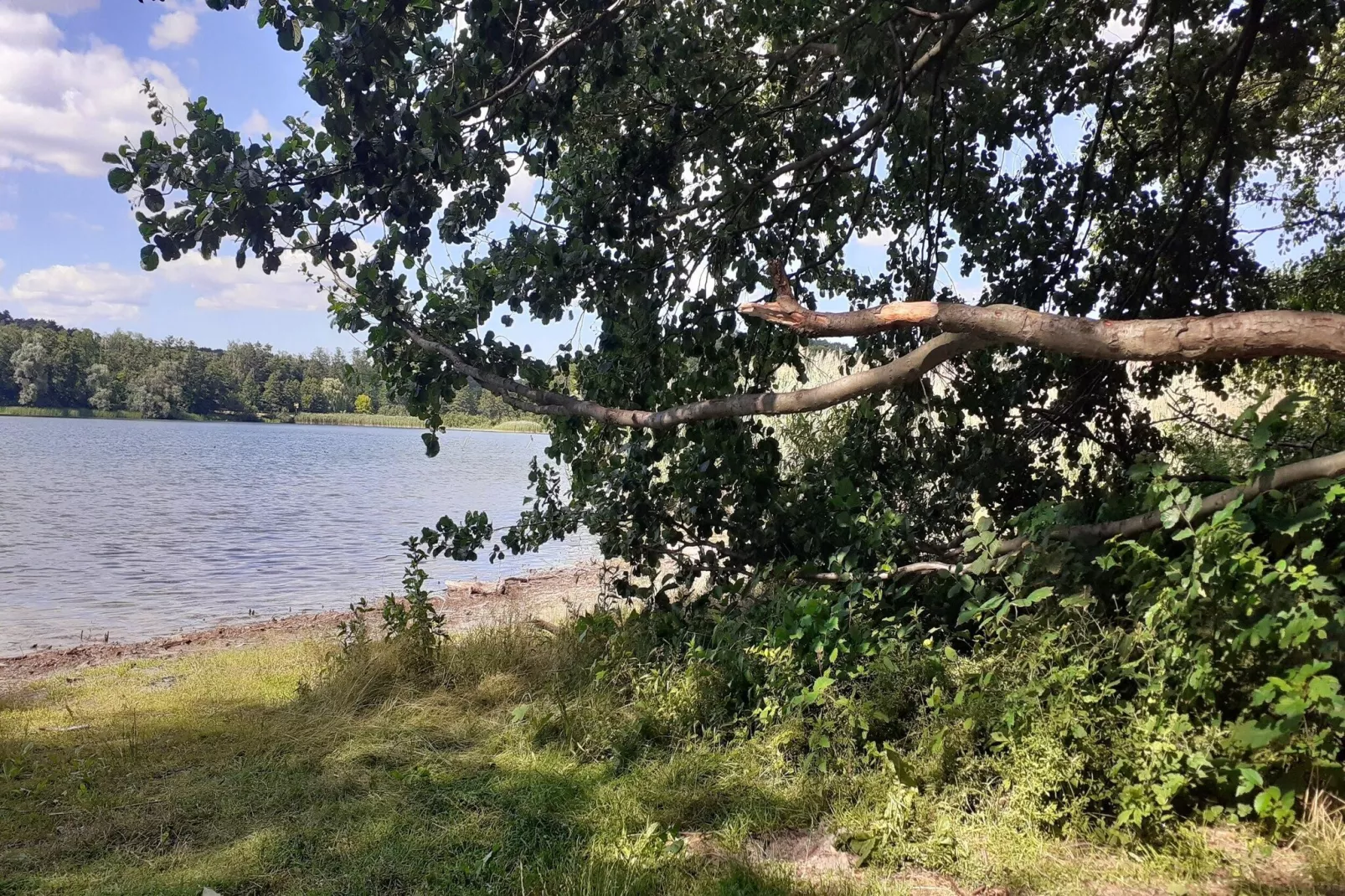 Luxus-Familienappartement / 4 Personen - Gebieden zomer 1km
