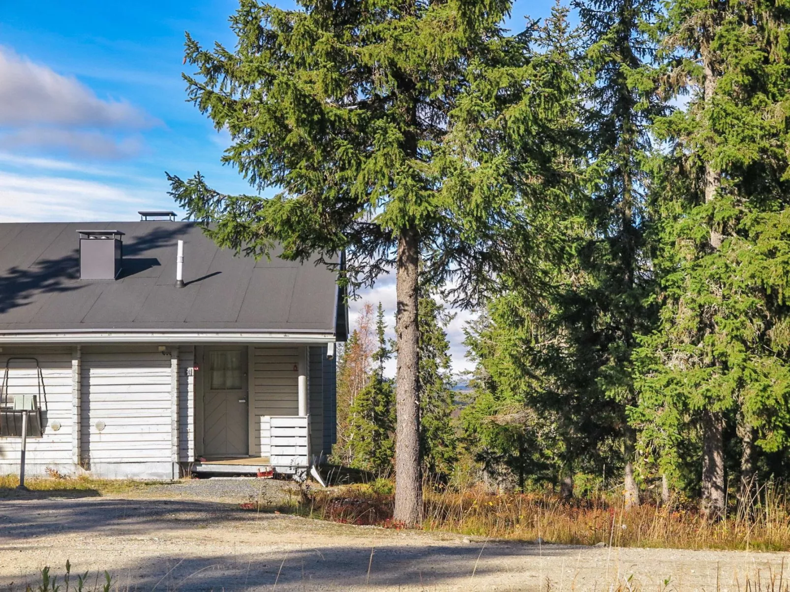 Lupposyöte b1-Binnen