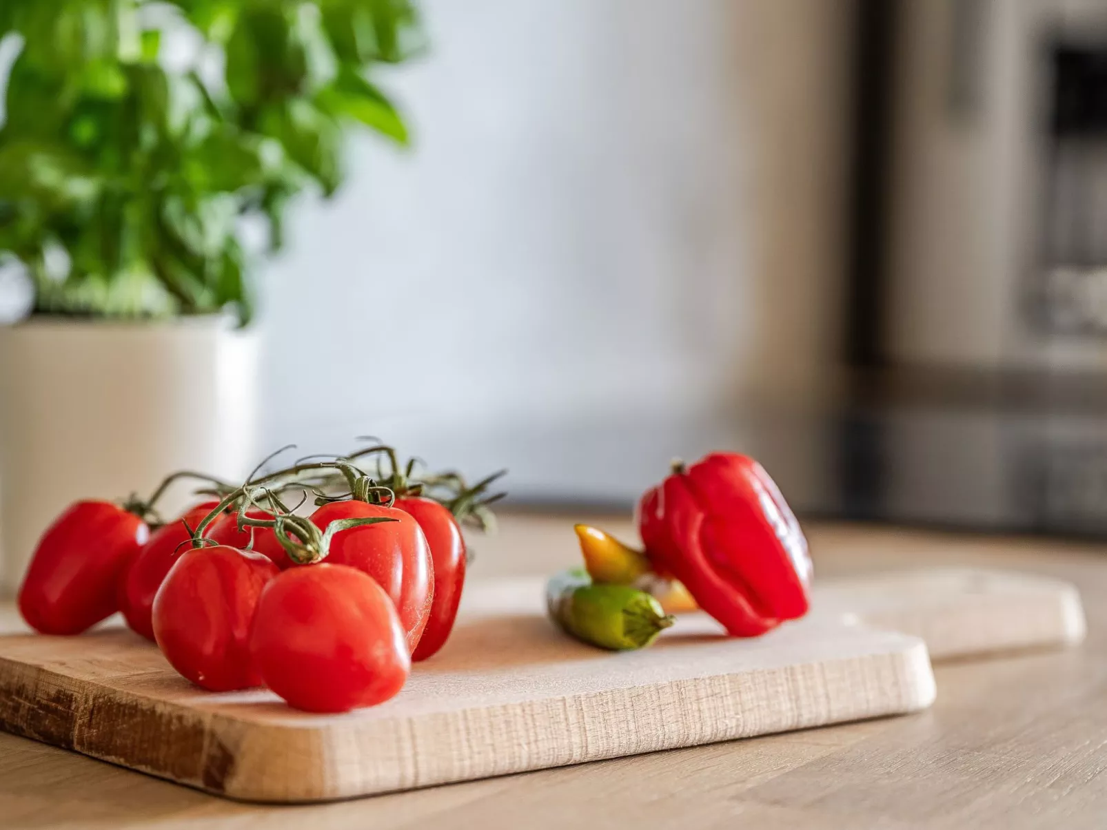 Renstråket 1003-Binnen