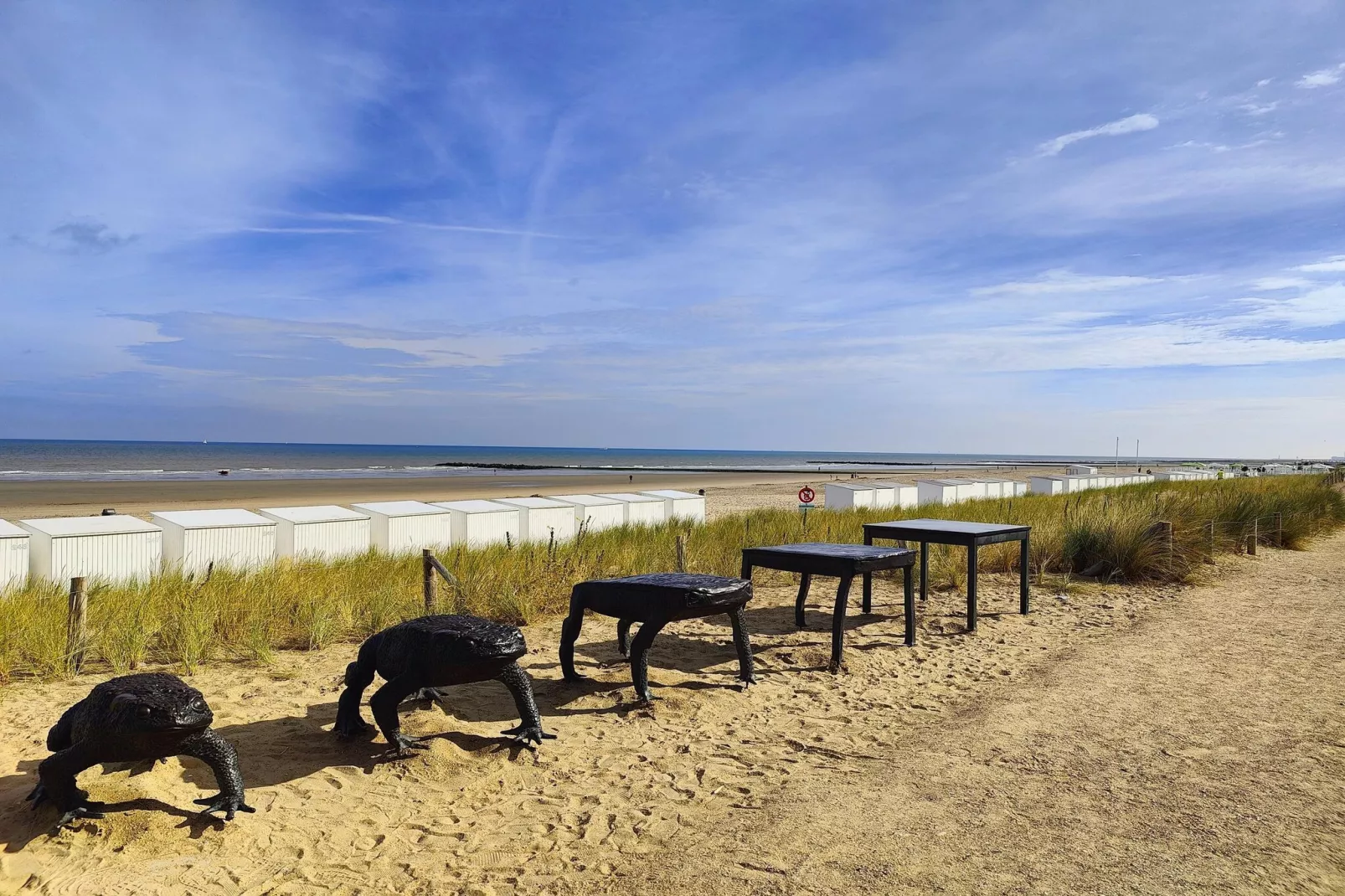 De Rede-Gebieden zomer 5km