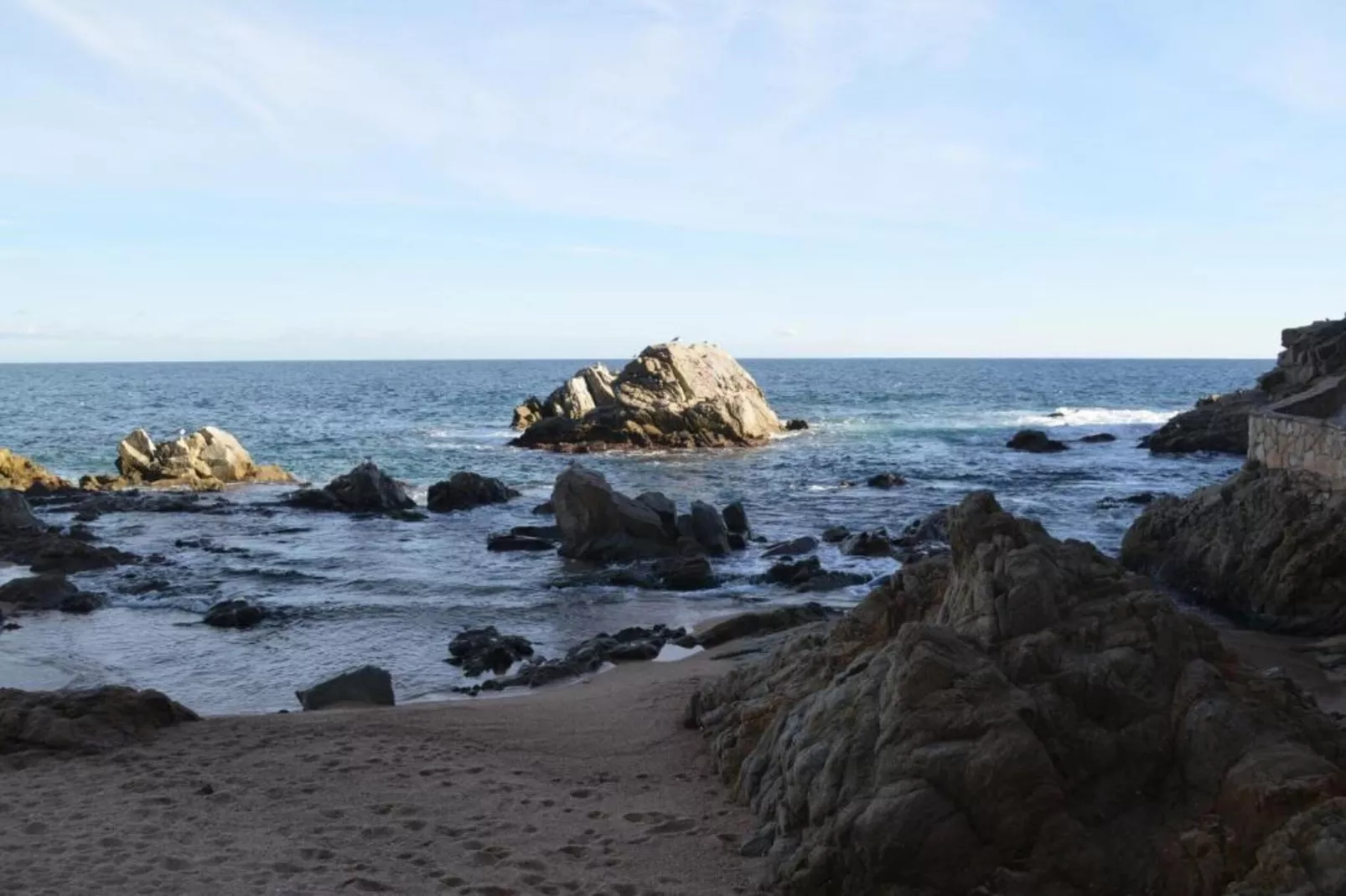 Cora-Gebieden zomer 5km