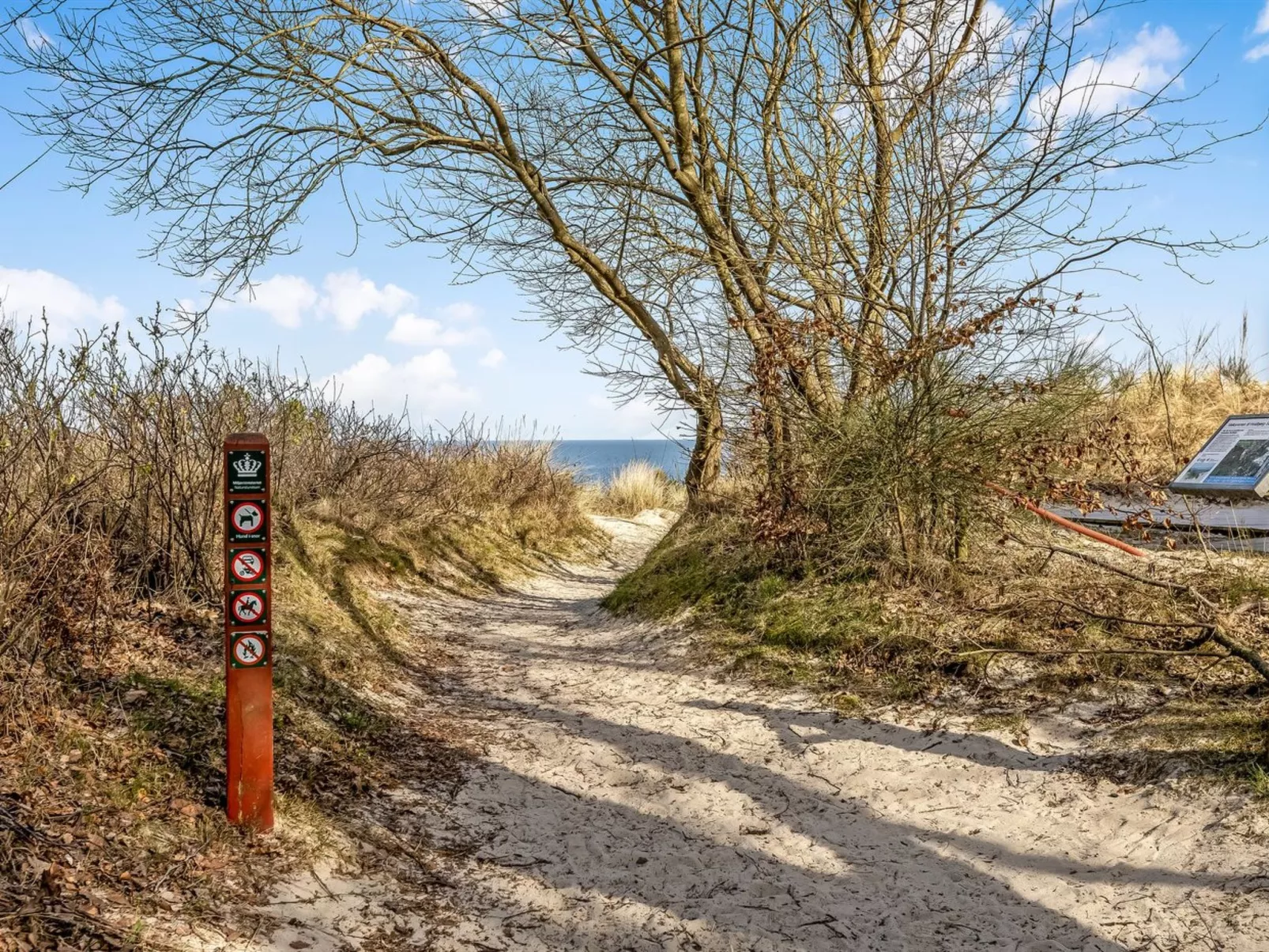 "Terttu" - 250m from the sea-Buiten