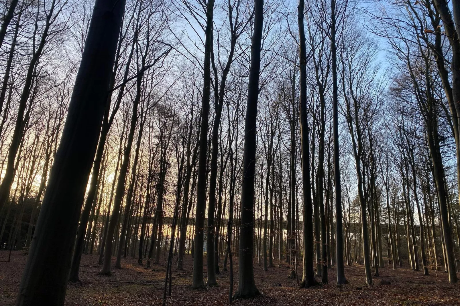 Mooi huisje vlakbij het strand-Niet-getagd