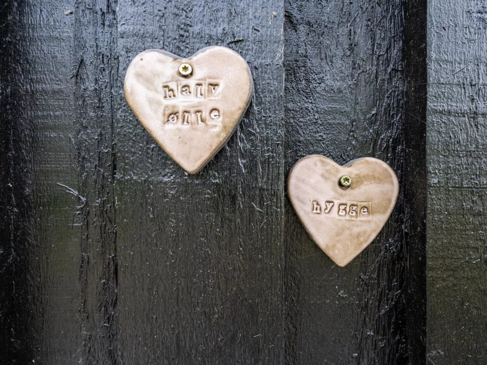 "Hælf" - 600m from the sea-Buiten