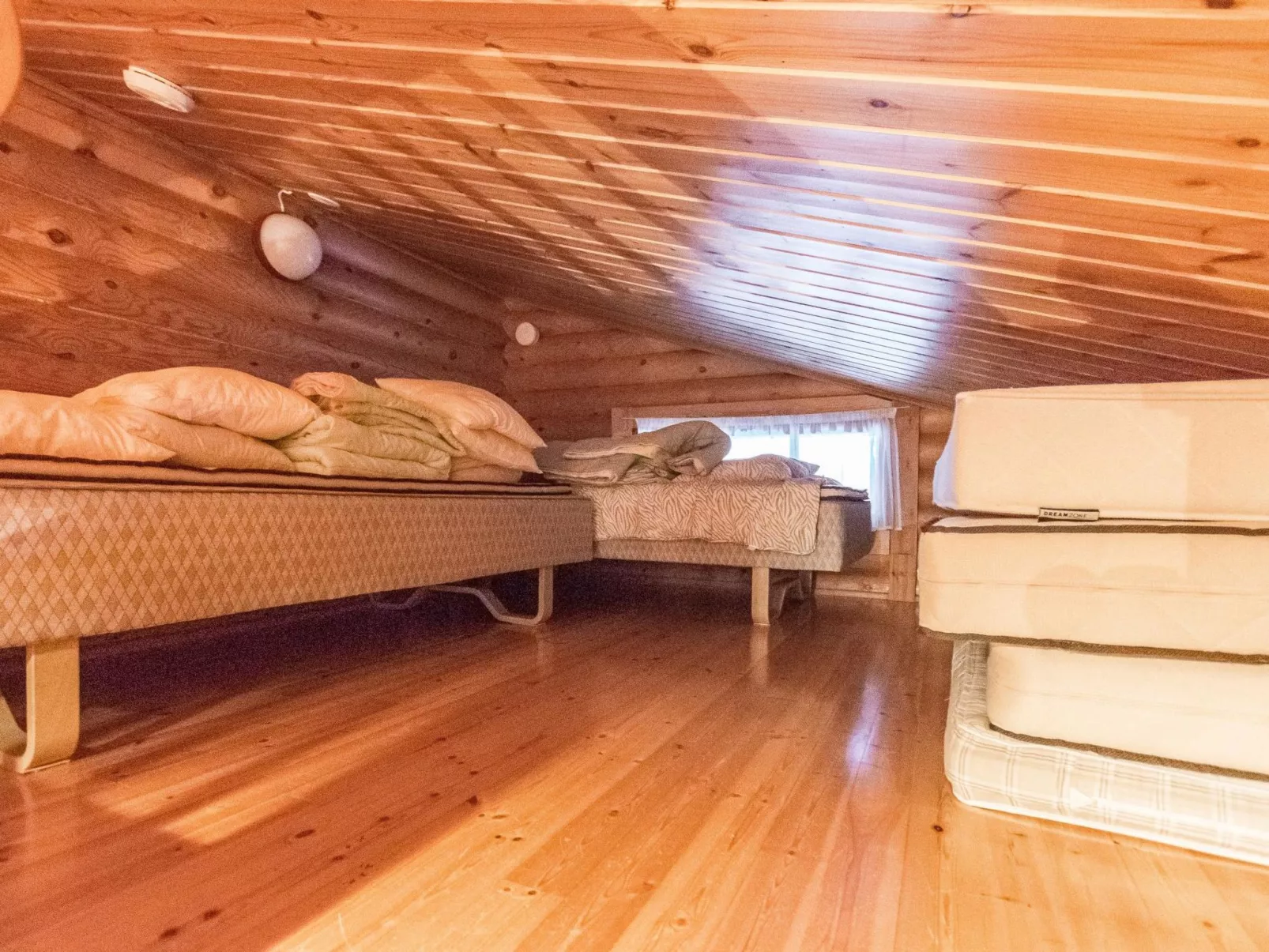 Kultapaljakka 4-Binnen