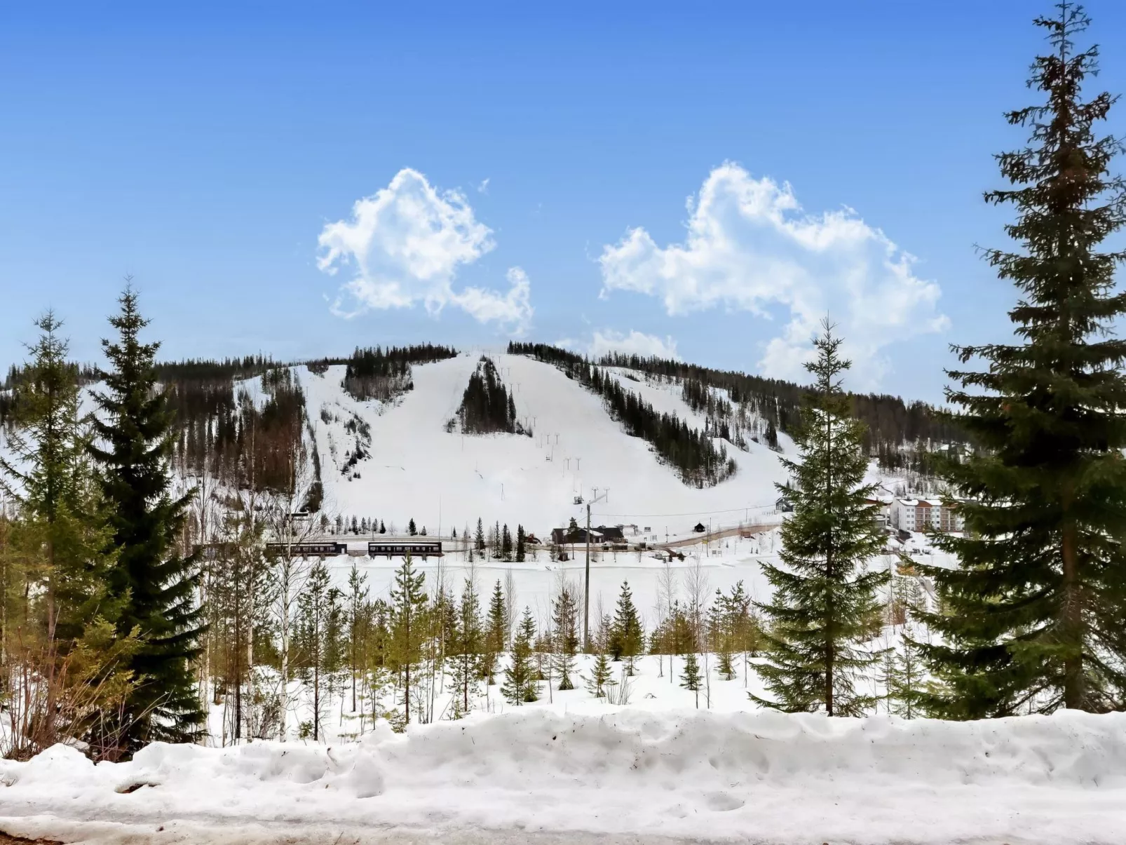 Pieni kiiruna-Binnen