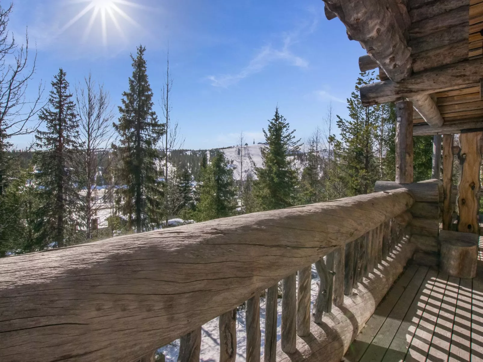 Rinnekieppi 1-Binnen