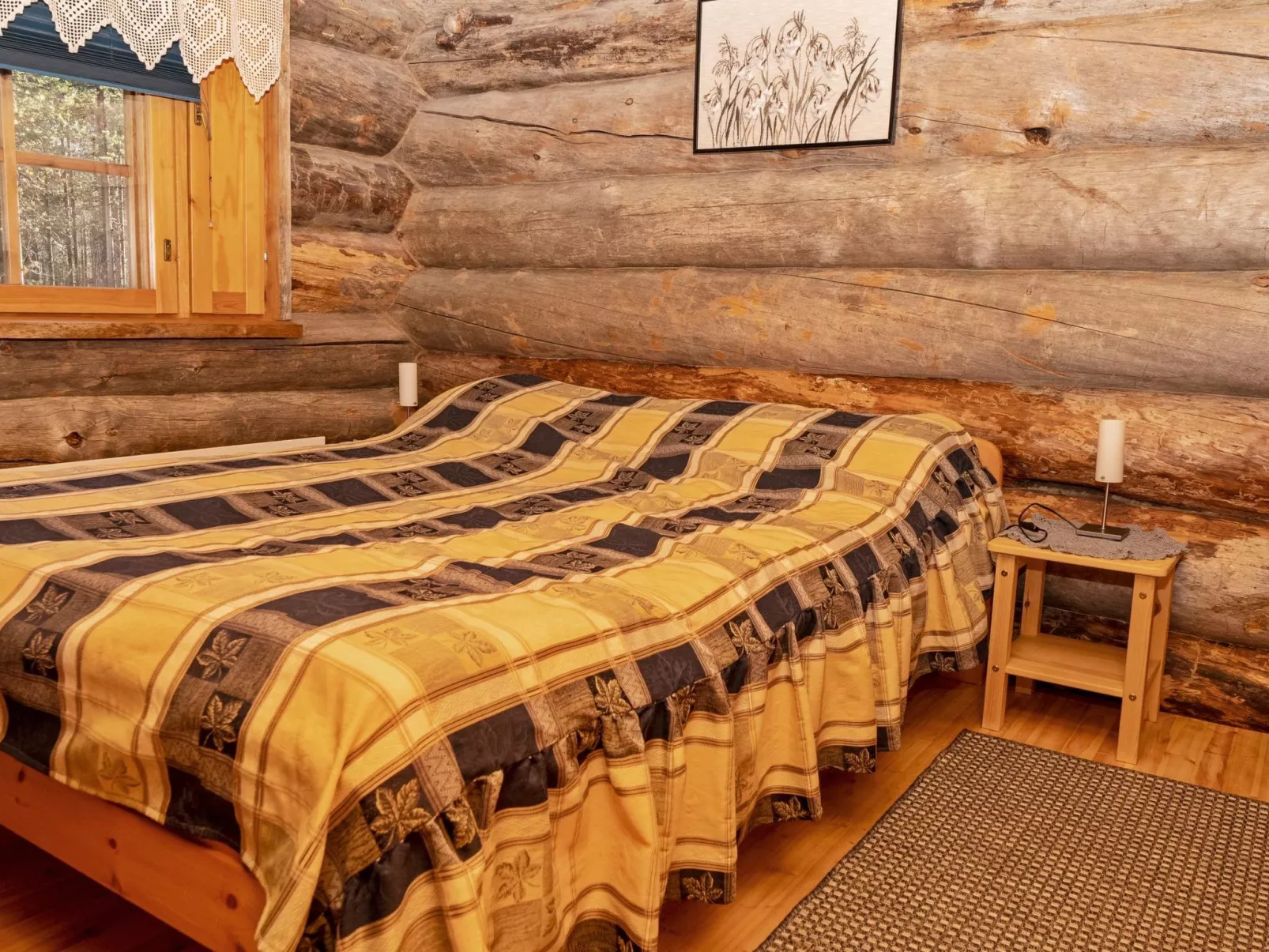 Villihanhi 7b-Binnen