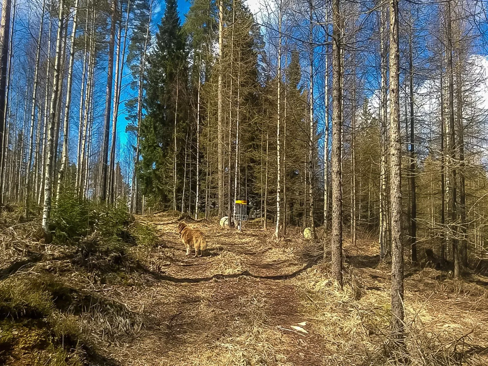 Villa akuliina-Binnen