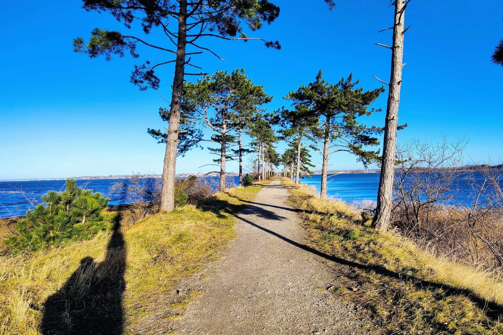 4 sterren vakantie huis in Jægerspris-Waterzicht