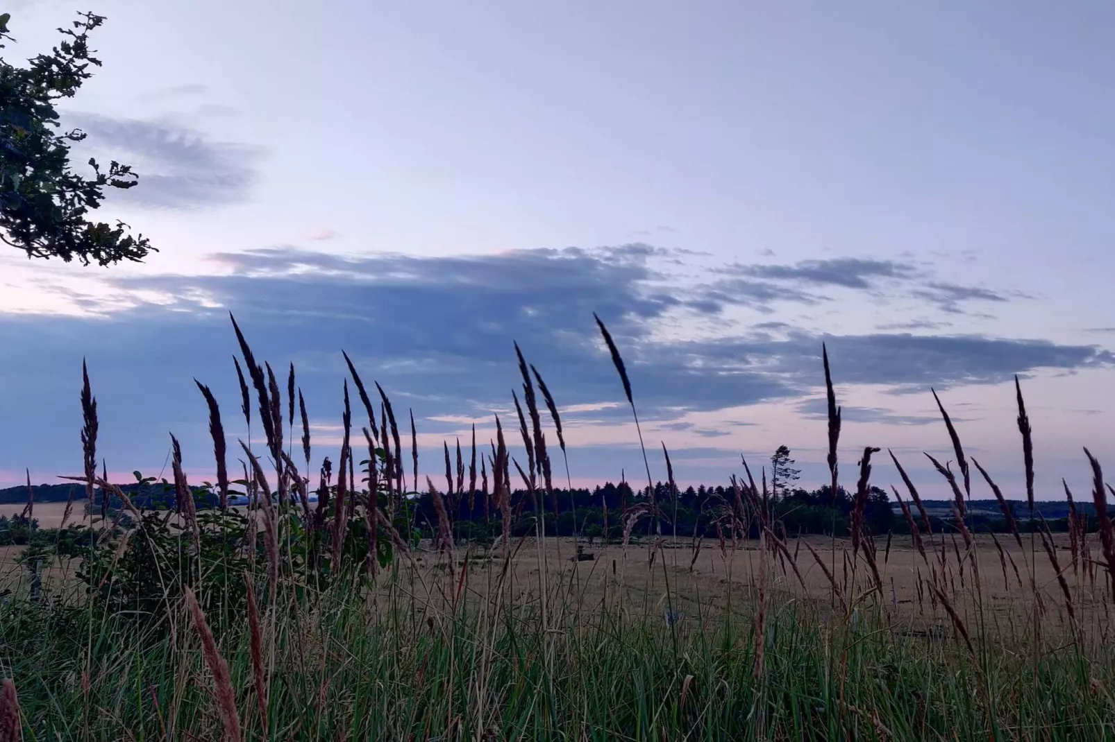 4 sterren vakantie huis in Brønderslev-Niet-getagd