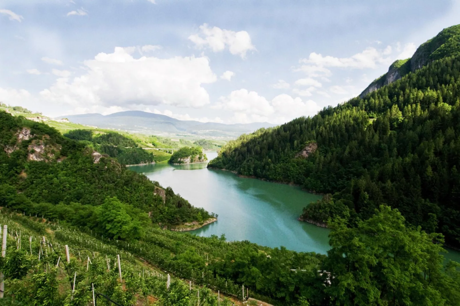 Renetta Mansarda-Gebieden zomer 5km