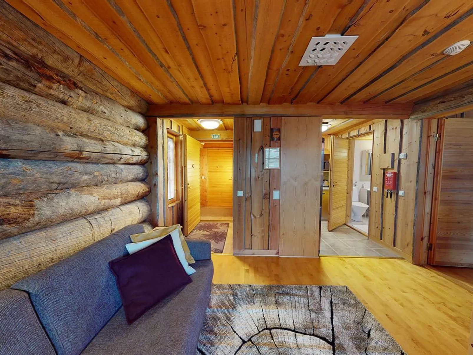 Sokosti - puilakka 3