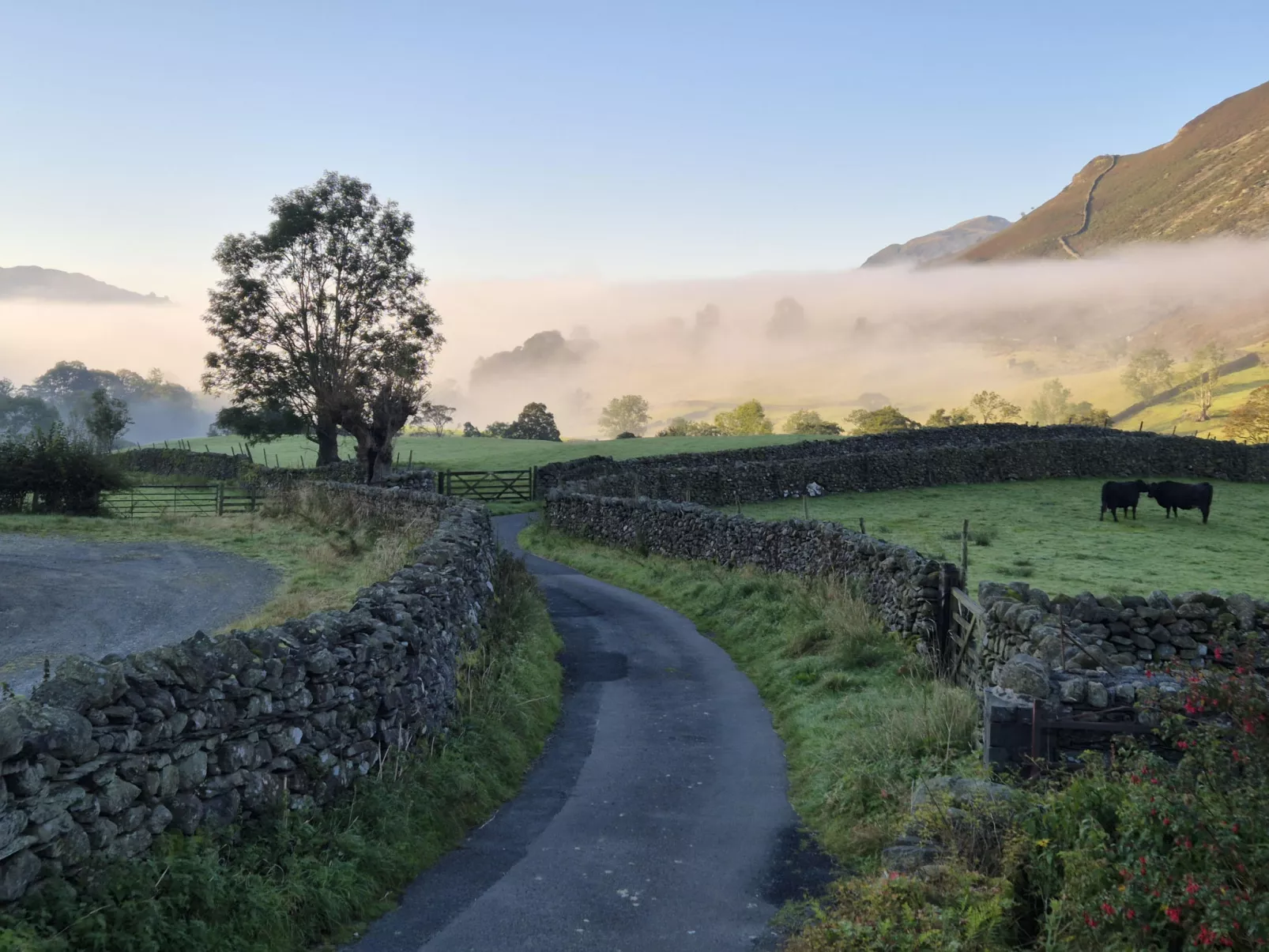 No.2 Town Head Cottages-Buiten