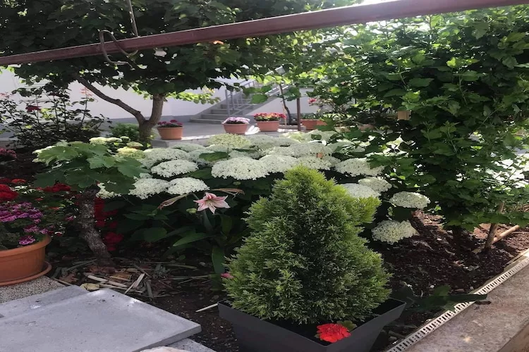 Apartments Villa Tanja - Two Bedroom Apartment with Terrace-Tuinen zomer