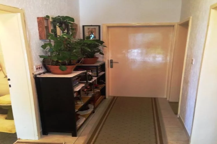 Guest House Ruza - Single Room with Shared Bathroom-Binnen