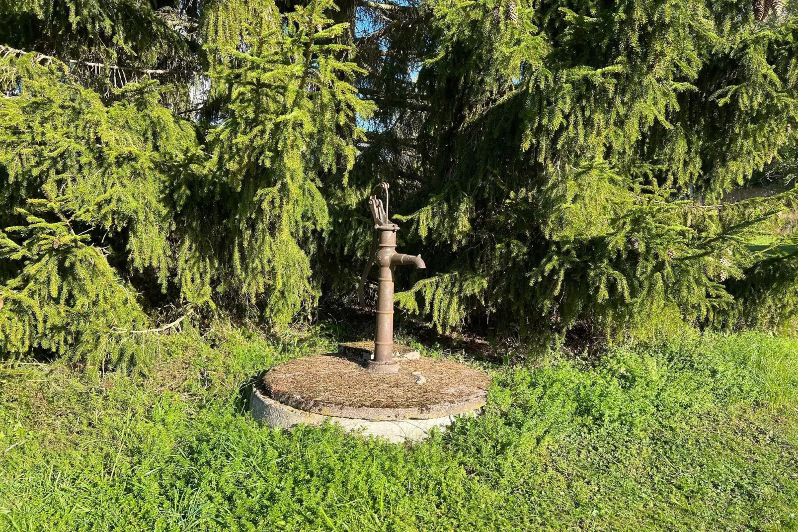 5 Personen vakantie huis in ADELSÖ-Buitenlucht