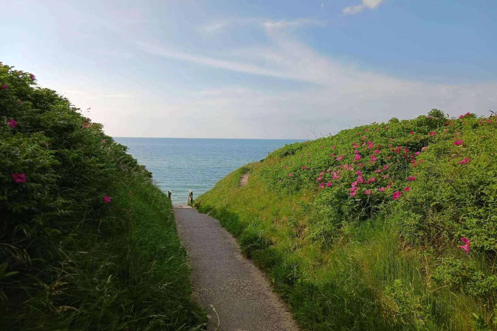 5 sterren vakantie huis in Vejby-Buitenlucht