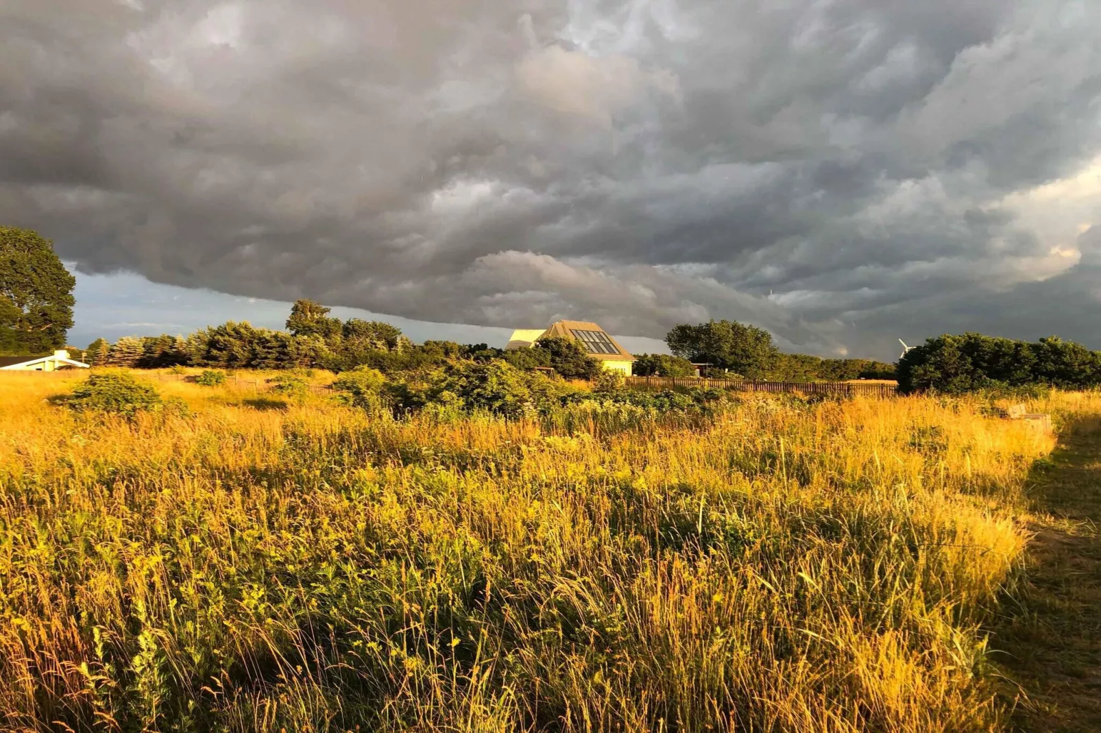 5 sterren vakantie huis in Tranekær-Buitenlucht
