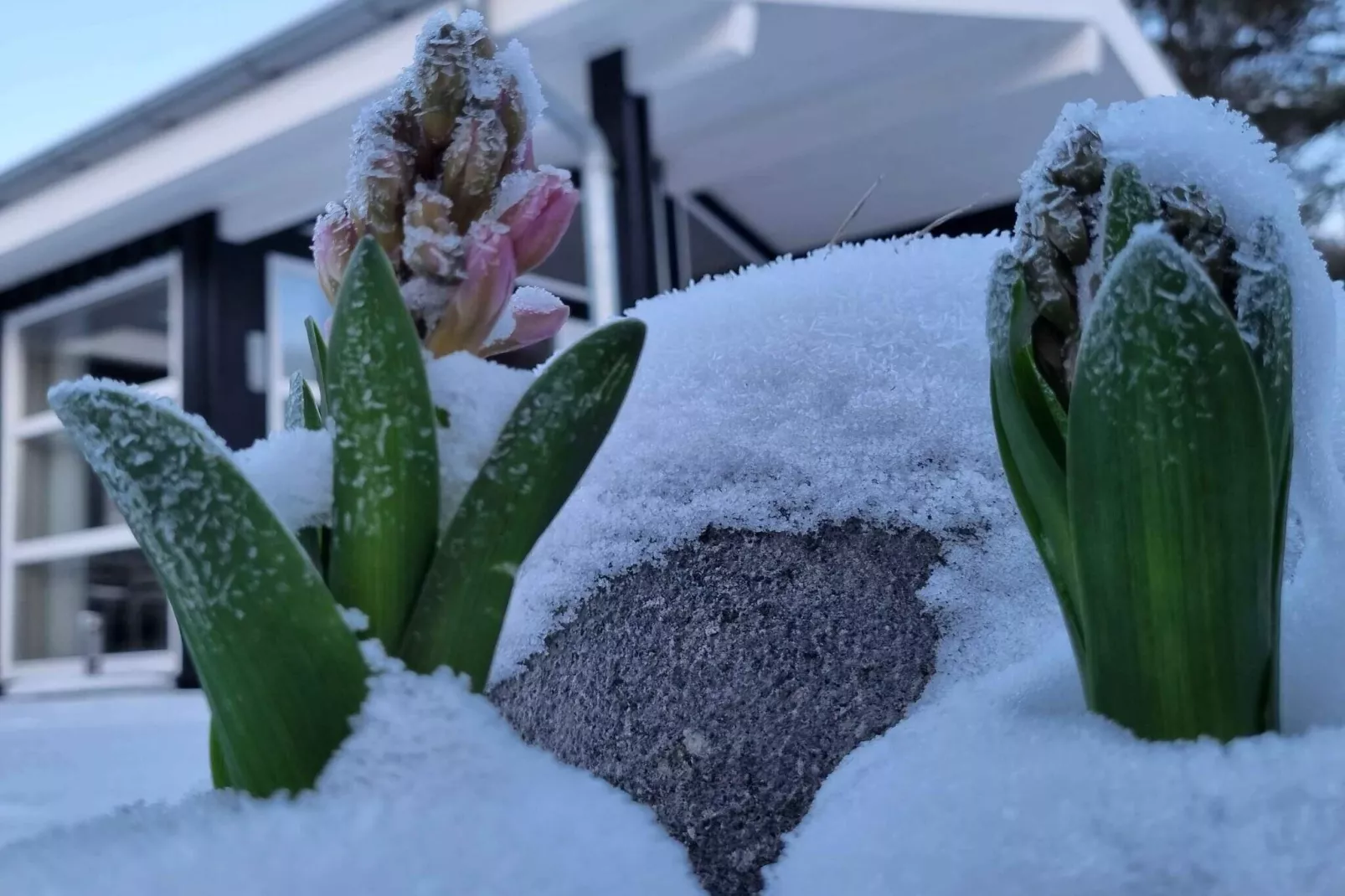 5 sterren vakantie huis in Højby-Buitenlucht