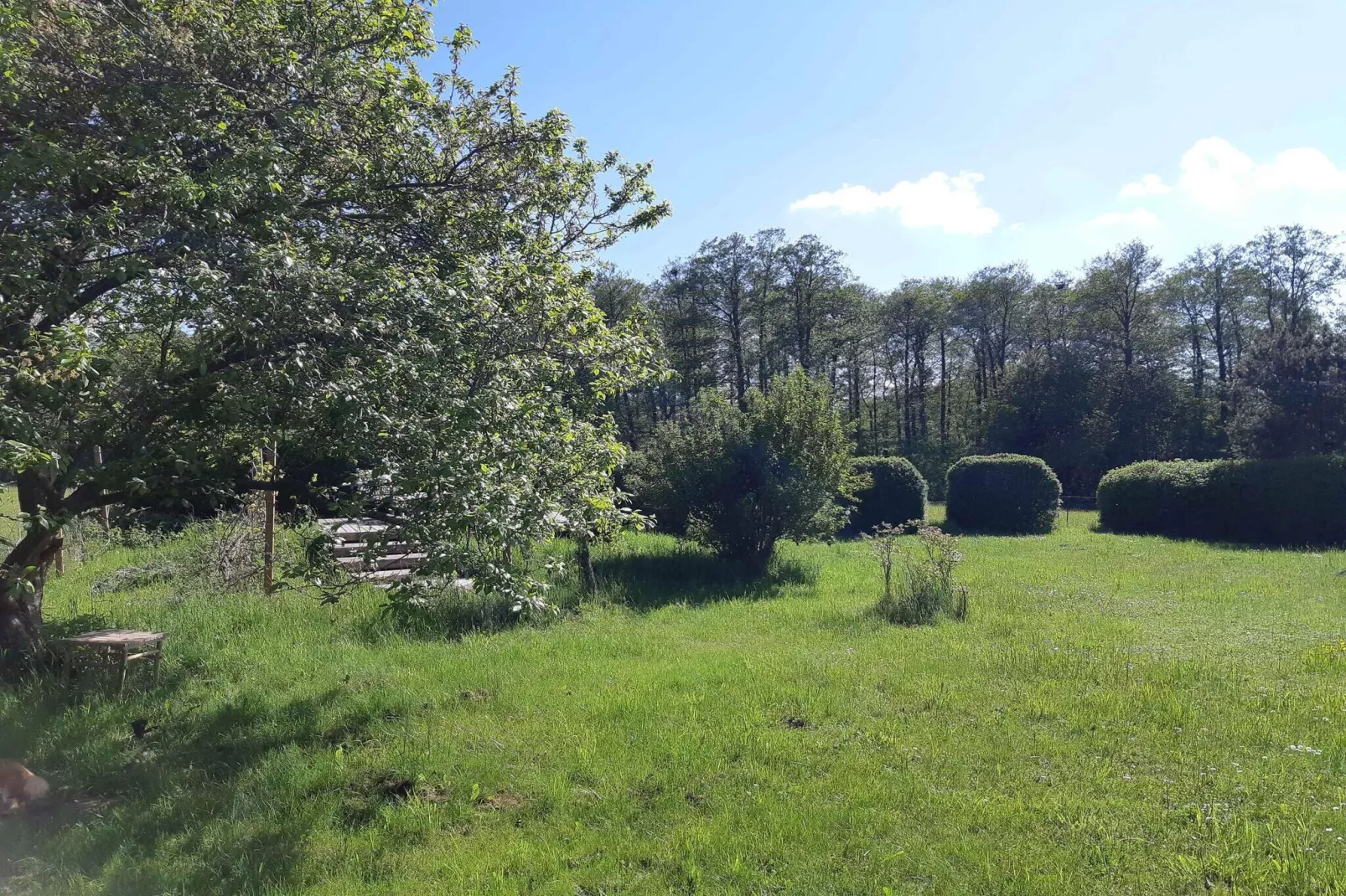 5 sterren vakantie huis in Kirke Hyllinge-Buitenlucht