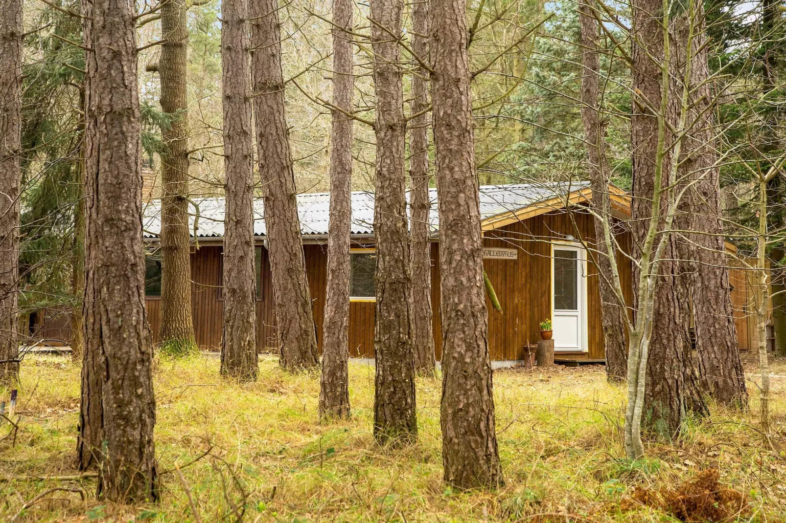 5 sterren vakantie huis in Store Fuglede-Buitenlucht