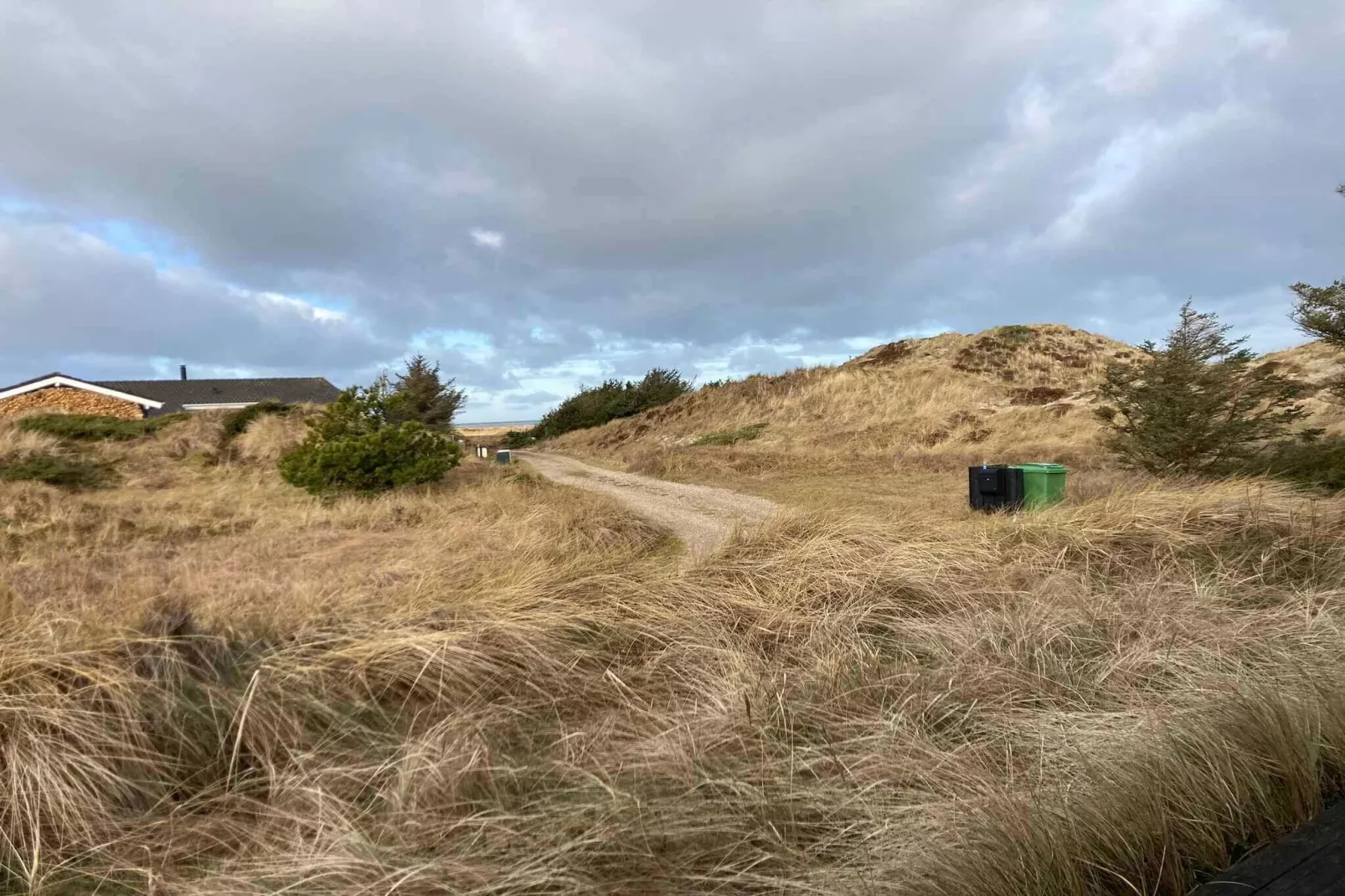 5 sterren vakantie huis in Pandrup-Buitenlucht