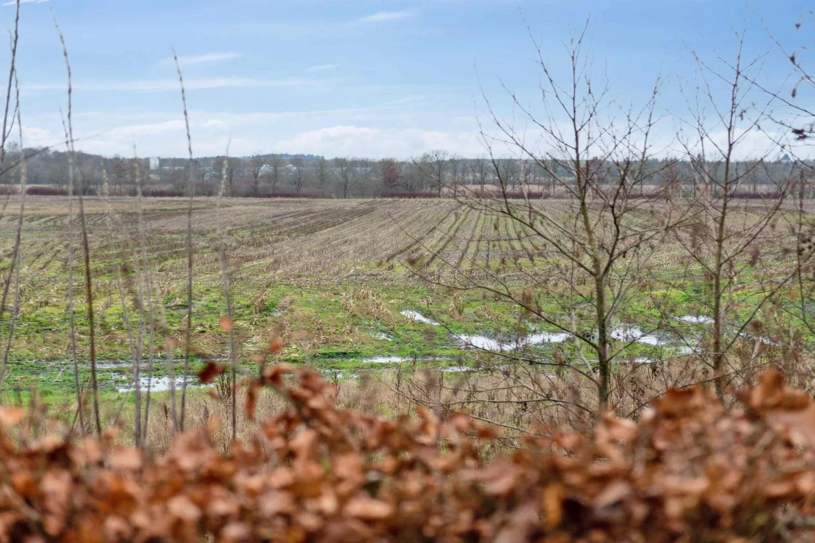 5 sterren vakantie huis in Brande-Buitenlucht