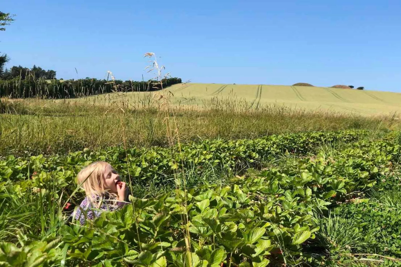 5 sterren vakantie huis in Vestervig-Buitenlucht