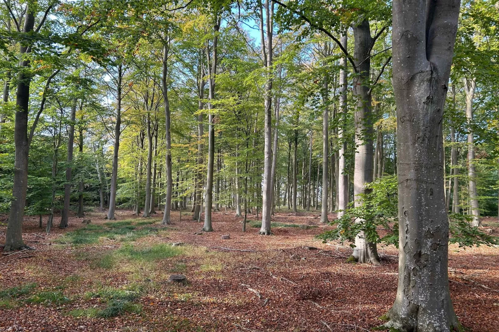 5 sterren vakantie huis in Nakskov-Niet-getagd