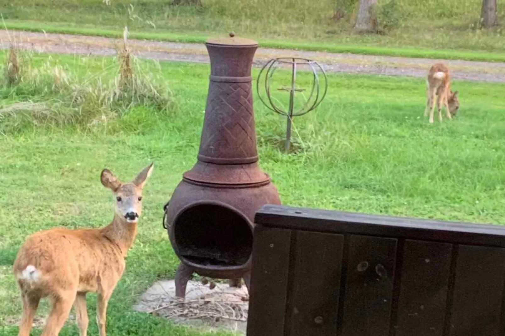 4 sterren vakantie huis in Nakskov-Niet-getagd