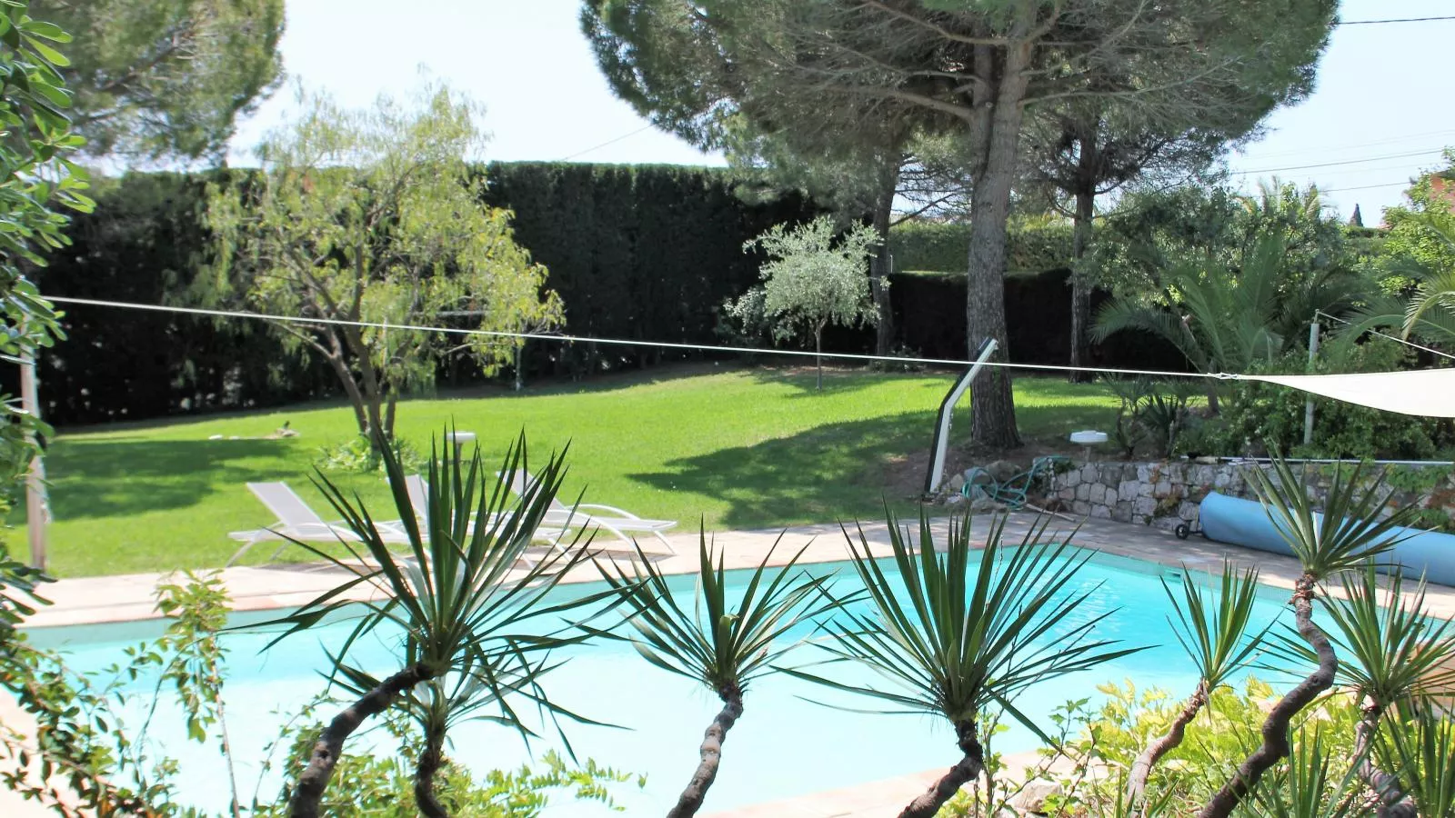 Les Palmiers-Zwembad